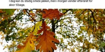 امروز آخرین روز هوای گرم در دانمارک است.بر اساس گزارش مؤسسه هواشناسی دانمارک (DM…