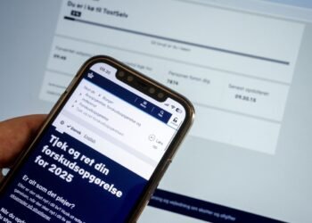 از ۱۱ نوامبر دسترسی به برگه مالیاتی سال آینده شهروندان دانمارک، فراهم می‌شود