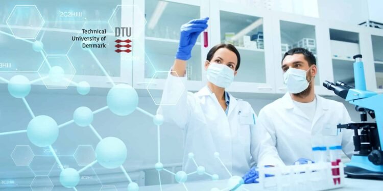 وعده‌ خدمت‌رسانی جدید اداره مهاجرت سوئد برای دانشجویان دکترا