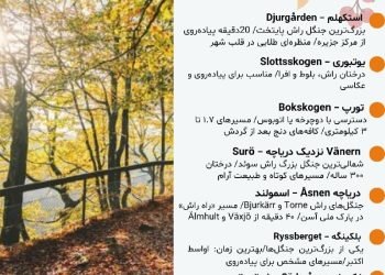 پاییز در سوئد فقط یک فصل نیست، یک حسه.رنگ، مه، دریاچه‌های آرام و نور طلاییِ غروب…