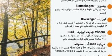 پاییز در سوئد فقط یک فصل نیست، یک حسه.رنگ، مه، دریاچه‌های آرام و نور طلاییِ غروب…
