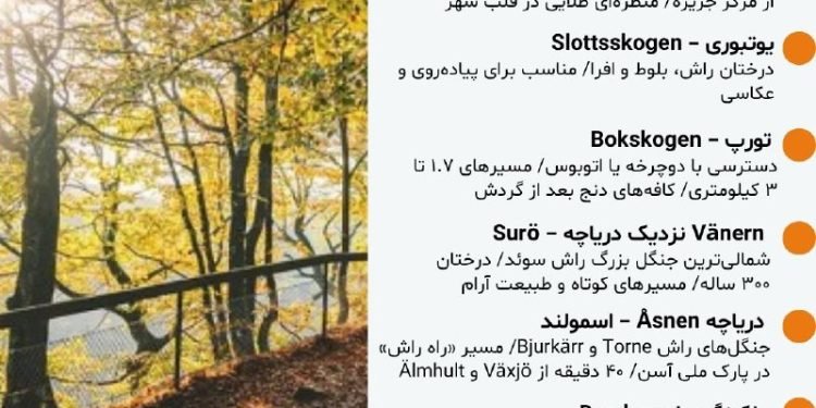 پاییز در سوئد فقط یک فصل نیست، یک حسه.رنگ، مه، دریاچه‌های آرام و نور طلاییِ غروب…