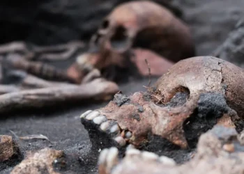 کشف ۵۰ اسکلت در مرکز شهر آهوس دانمارک؛ قدمتی تا ۹۰۰ سال