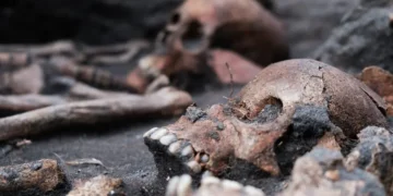 کشف ۵۰ اسکلت در مرکز شهر آهوس دانمارک؛ قدمتی تا ۹۰۰ سال