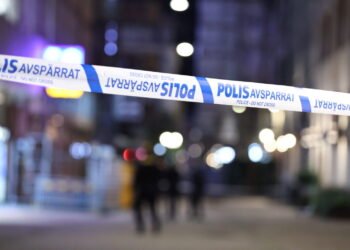 چند زخمی در تیراندازی در شهر یوله