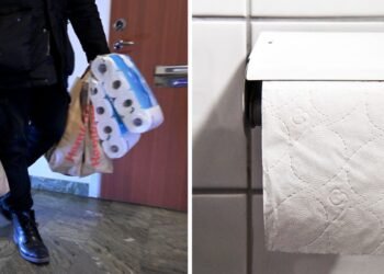 یک زن شغل خود را به دلیل برداشتن رول دستمال کاغذی از دست داد و جریمه شد