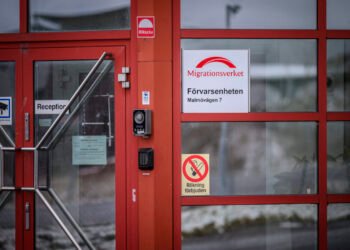 پس از سه سال کار، اداره مهاجرت یک آشپز در مالمو را متهم به داشتن یک قرارداد ساختگی کرد