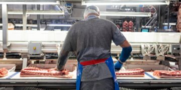 مدیرعامل شرکت Danish Crown ظرفیت تولید ۱۰ میلیون خوک گوشتی بیشتر در دانمارک وجود دارد