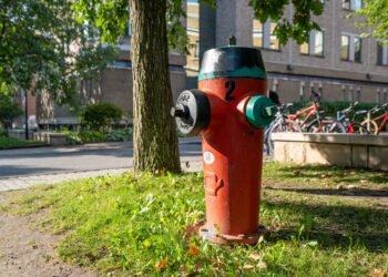 حذف ۴۰۰ شیر آتش‌نشانی در دانمارک