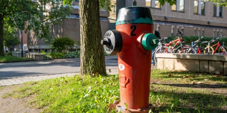 حذف ۴۰۰ شیر آتش‌نشانی در دانمارک