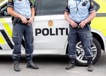 یک قتل با سلاح سرد در شهر هرنینگ دانمارک