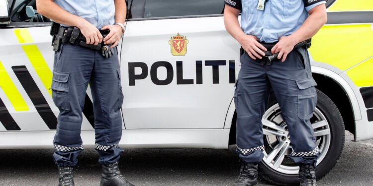 یک قتل با سلاح سرد در شهر هرنینگ دانمارک