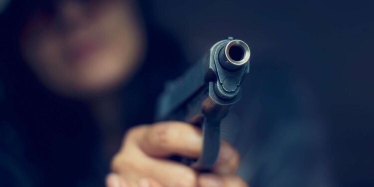 مرد ۷۱ ساله در جزیره فون دانمارک، به اتهام نگهداری غیرقانونی سلاح‌ بازداشت شد