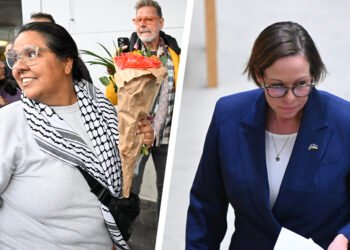 بحث شدید بر سر ناوگان الصمود، وزیر امور خارجه یک نماینده زن را “ملوان” توصیف کرد.