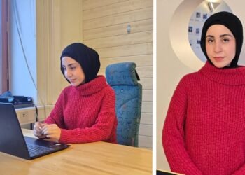 توضیحات من در مورد TikTok تبدیل به یک دوره آموزشی در سوئد شده است