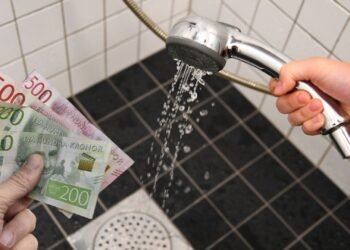 کودکی شیر آب حمام را باز گذاشت؛ مادر به پرداخت ۳۰۰ هزار کرون محکوم شد